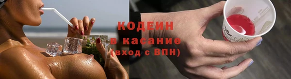 шишки Майский