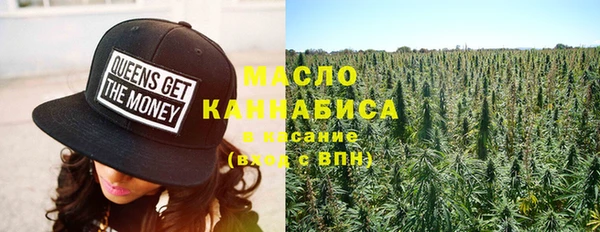 шишки Майский