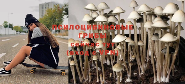 шишки Майский