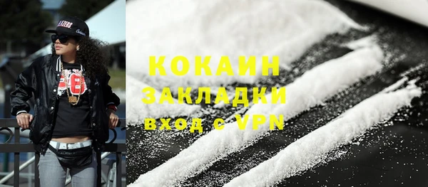 шишки Майский