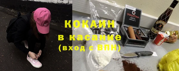 шишки Майский